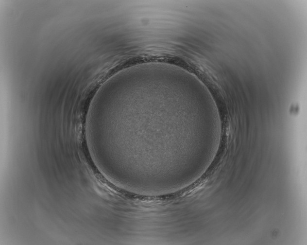 X0000092000868200709131512