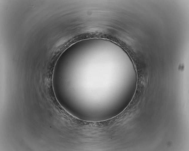 X0000092000869200709131512