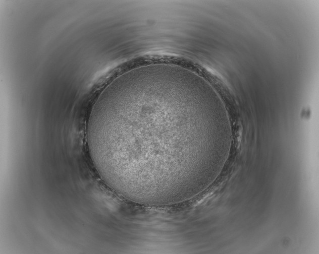 X0000092000870200709131512