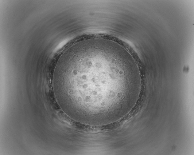 X0000092000871200709131512