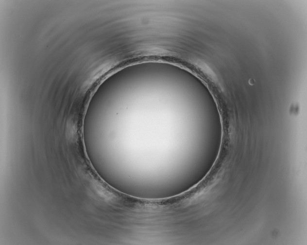 X0000092000873200709131512