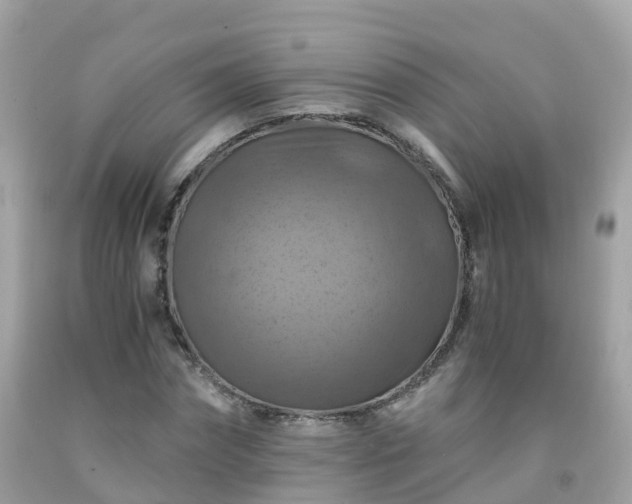 X0000092000874200709131512