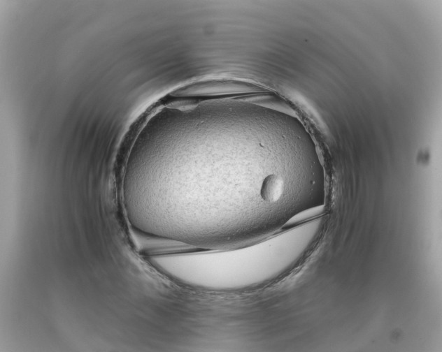 X0000092000876200709131512