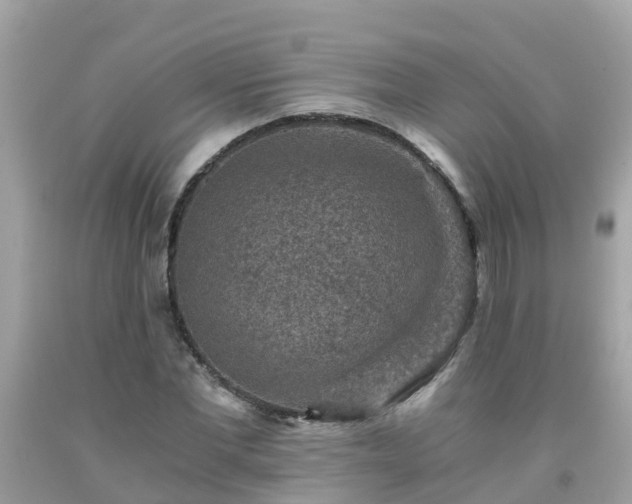 X0000092000877200709131512