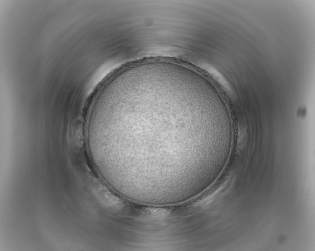 X0000092000878200709131512