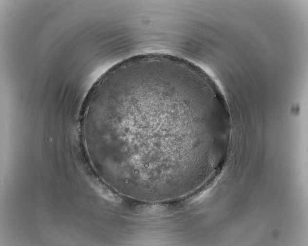 X0000092000879200709131512