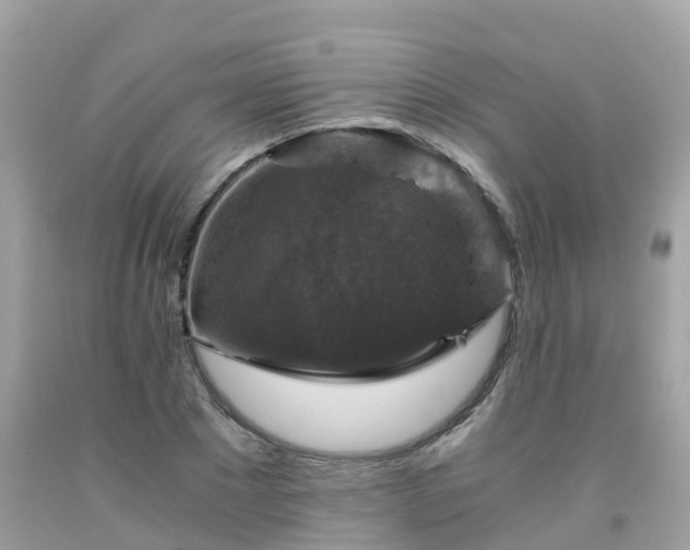 X0000092000881200709131512