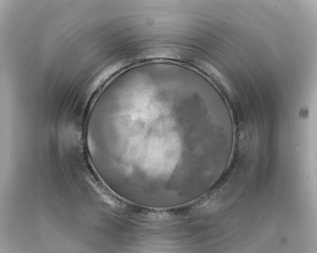 X0000092000882200709131512