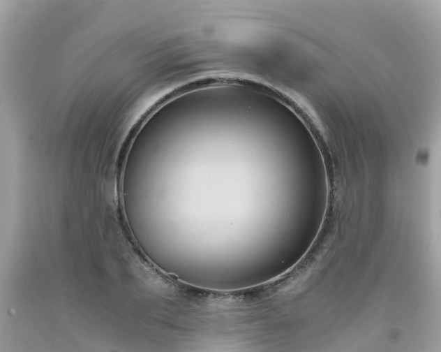 X0000092000887200709131512