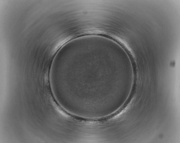 X0000092000889200709131512