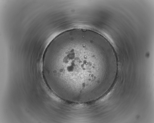 X0000092000891200709131512