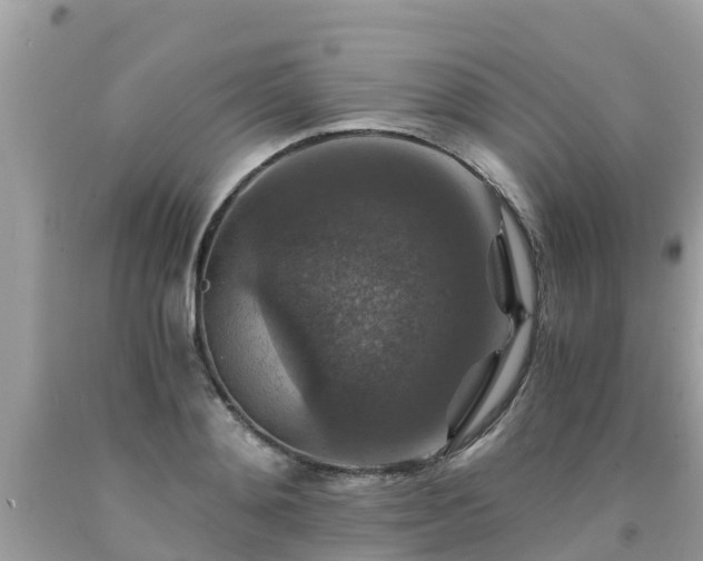 X0000092000892200709131512