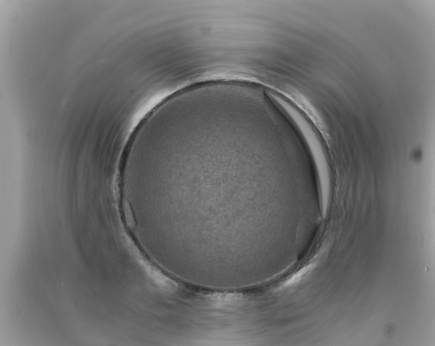 X0000092000893200709131512