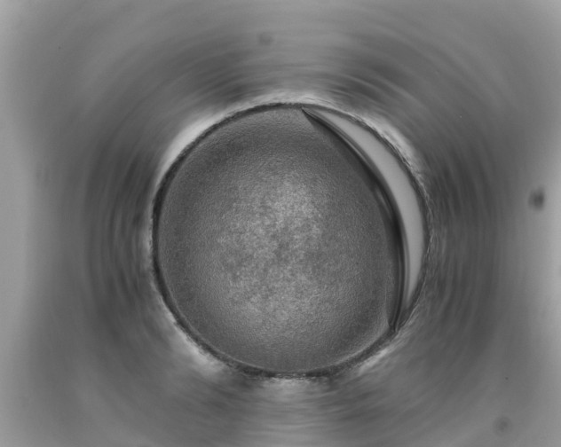 X0000092000894200709131512