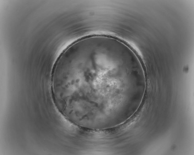 X0000092000895200709131512