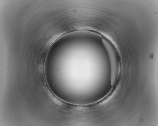 X0000092000897200709131512