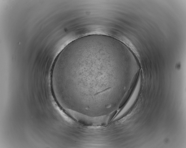 X0000092000898200709131512