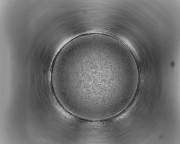 X0000092000900200709131512