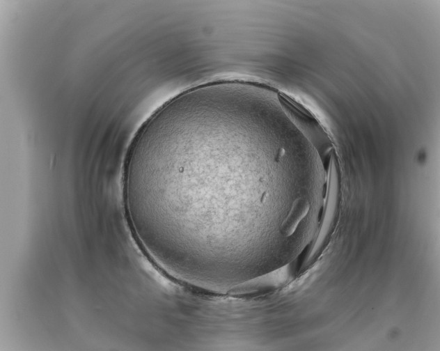 X0000092000902200709131512