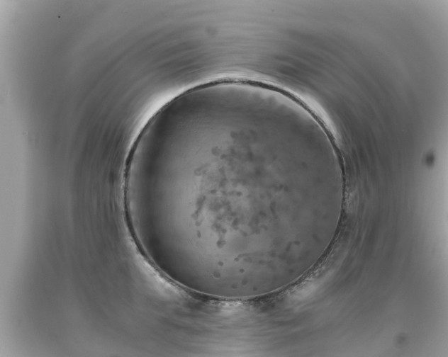 X0000092000903200709131512