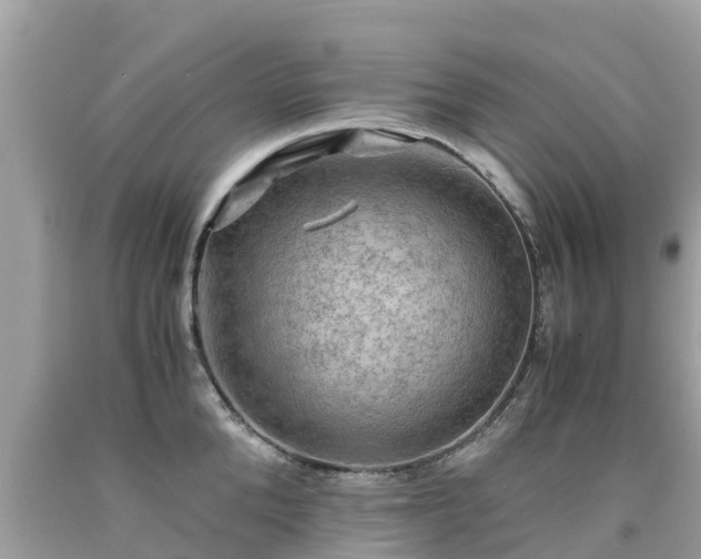 X0000092000904200709131512