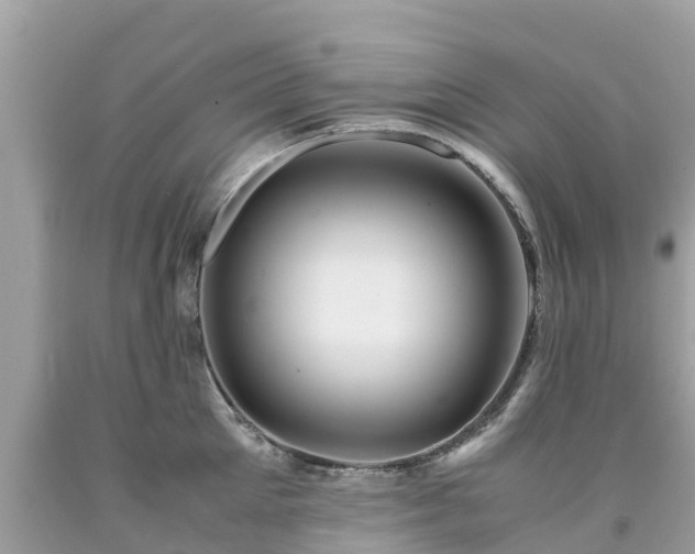 X0000092000905200709131512