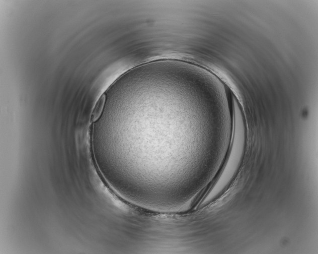 X0000092000906200709131512