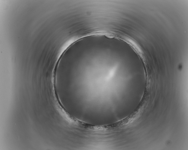 X0000092000907200709131512