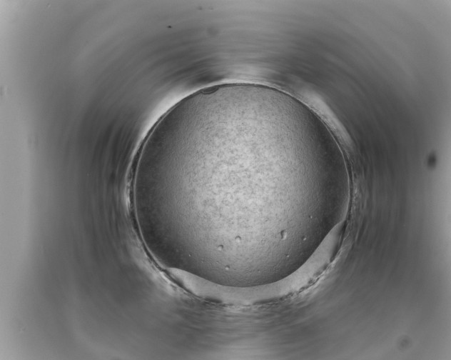 X0000092000908200709131512