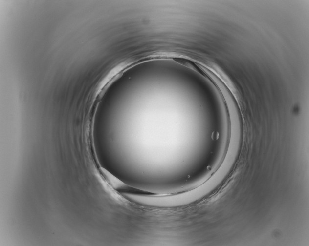 X0000092000909200709131512