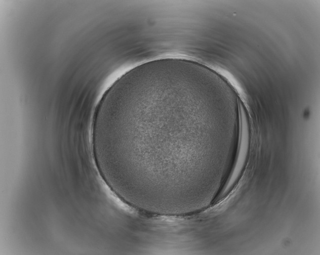 X0000092000910200709131512