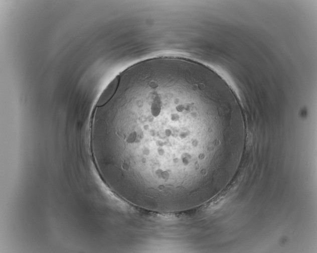 X0000092000911200709131512