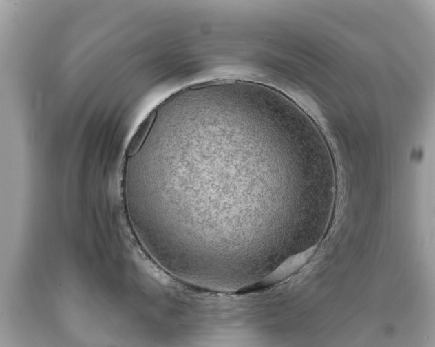 X0000092000912200709131512