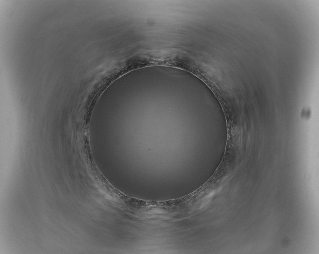 X0000092000913200709131511