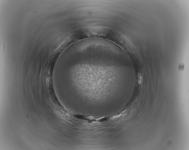 X0000092000915200709131511