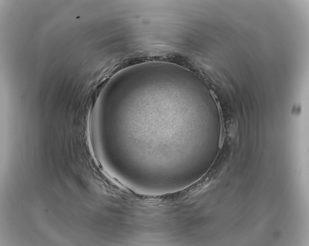 X0000092000916200709131511