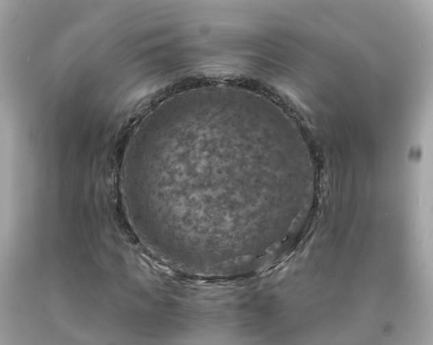 X0000092000917200709131511