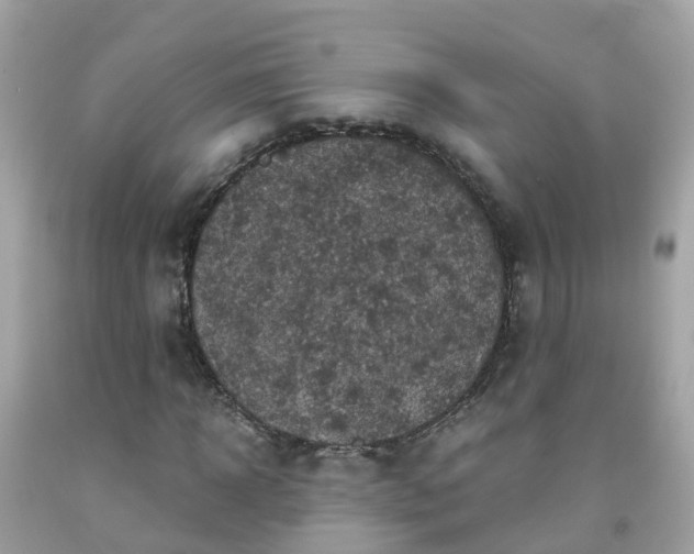 X0000092000918200709131511