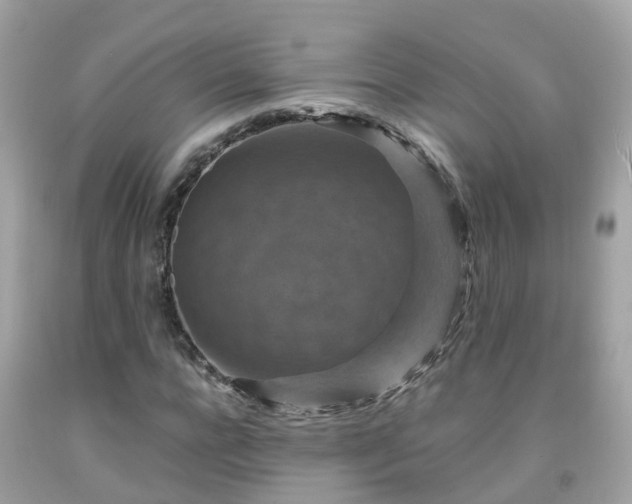 X0000092000920200709131511