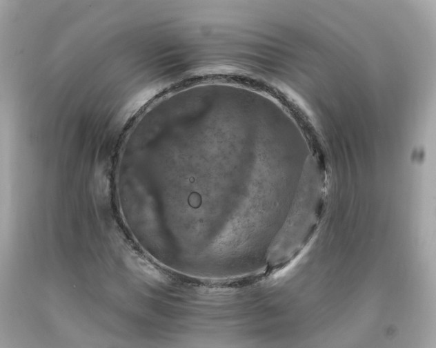 X0000092000921200709131511