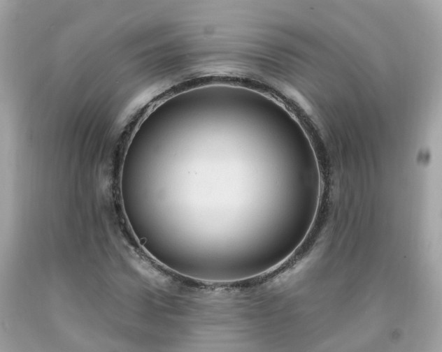 X0000092000922200709131511