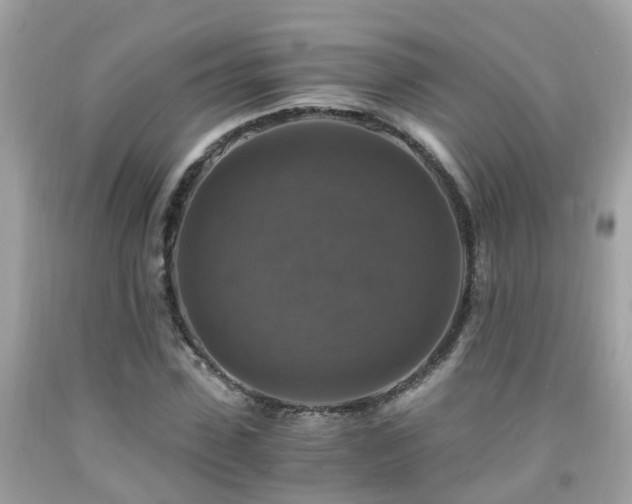 X0000092000923200709131511