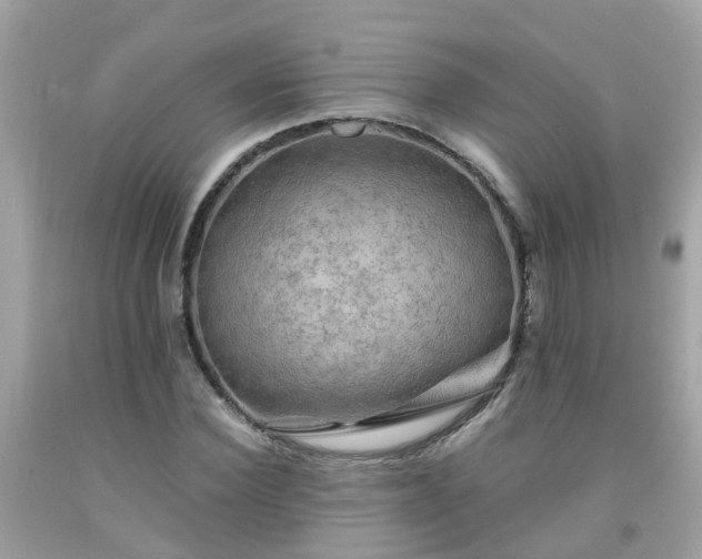 X0000092000924200709131511