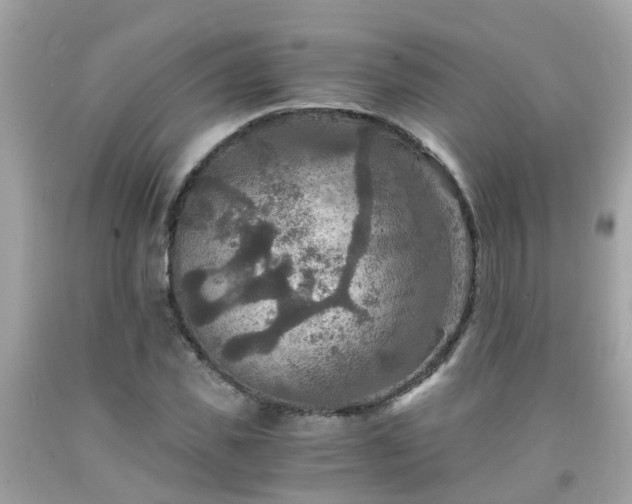 X0000092000925200709131511