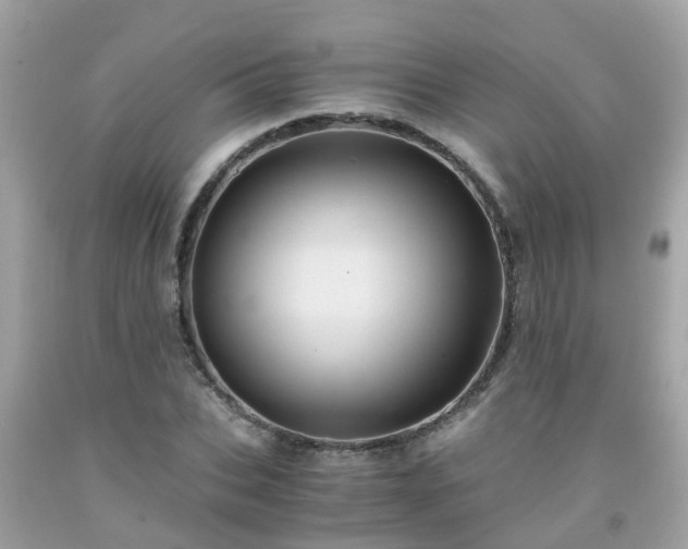 X0000092000927200709131511