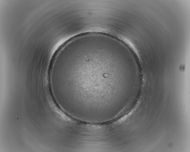 X0000092000928200709131511