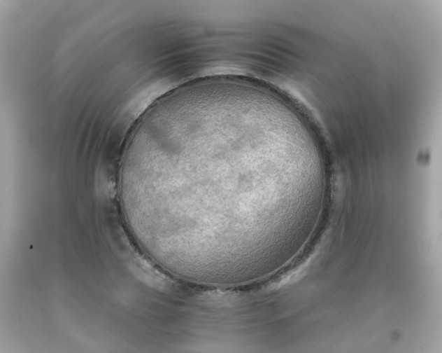 X0000092000929200709131511