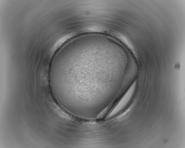 X0000092000930200709131511