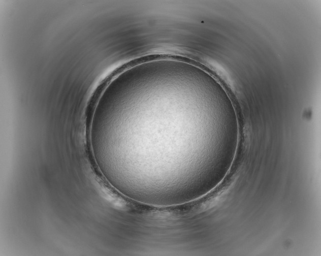 X0000092000931200709131511