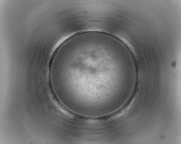 X0000092000933200709131511